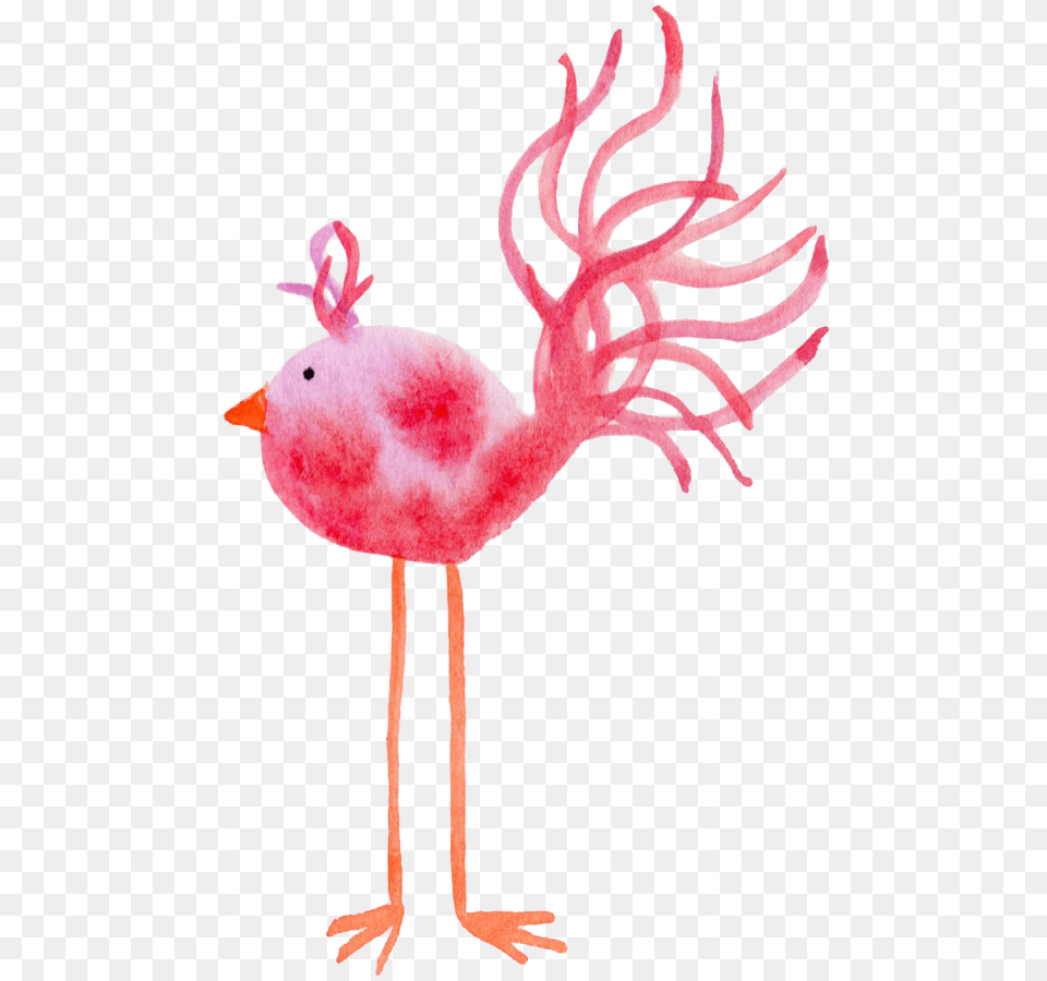 Feather Friday Freebie Janet Crosby, Animal, Bird, Flamingo Free Png Download