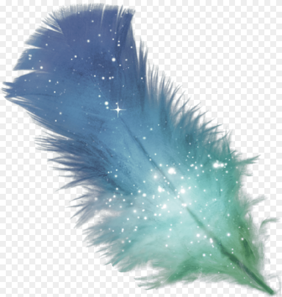 Feather Glitter Colormix Transparent Purple Feather, Plant, Outdoors, Accessories, Nature Png Image