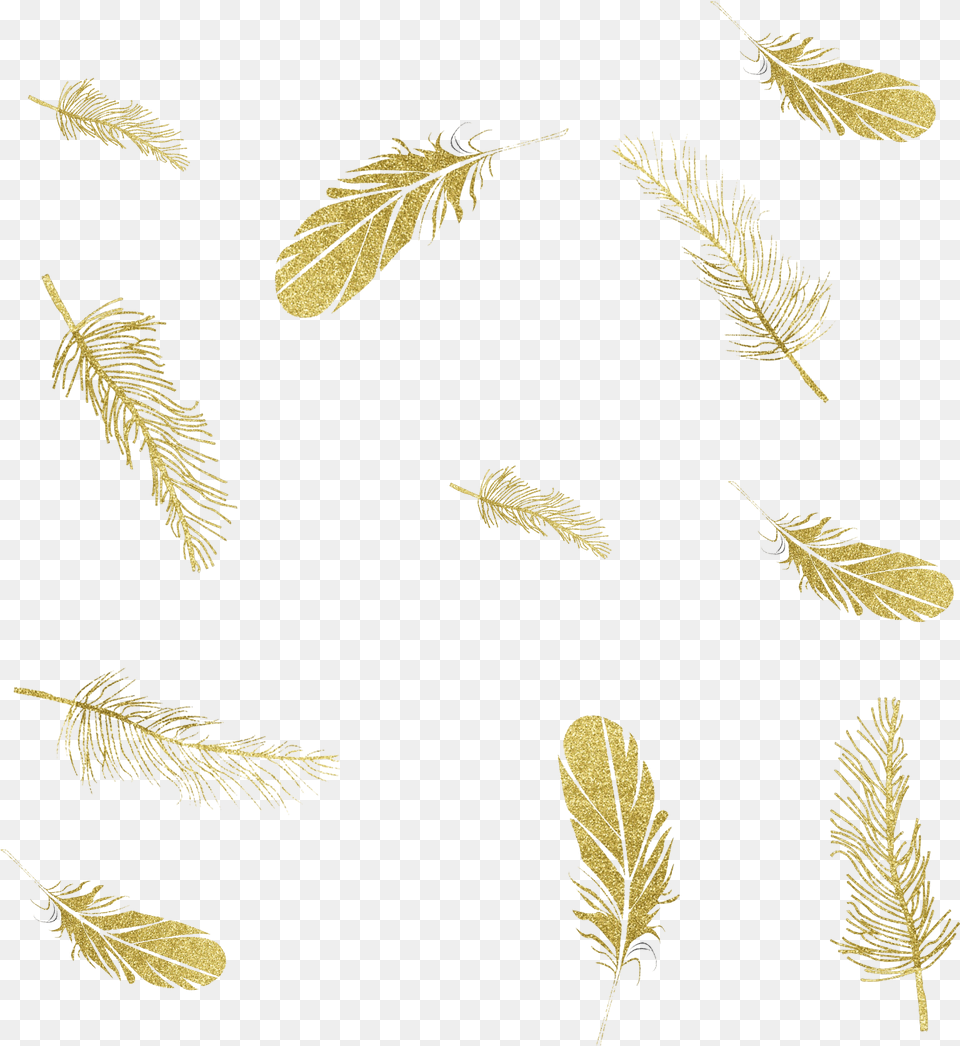 Feather Graphics Ink Portable Network File Hd Clipart Falling Feathers Gold, Grass, Plant, Leaf, Tree Free Png