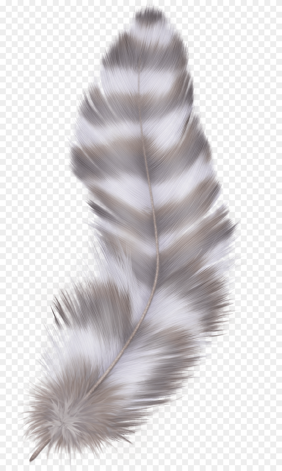 Feather Grey Feather With Transparent Background, Accessories, Animal, Bird, Pattern Free Png Download