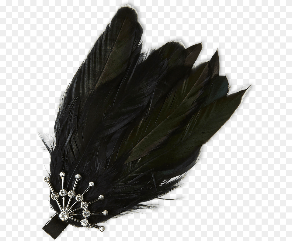 Feather Hair Clip Black Portable Network Graphics, Accessories, Plant, Jewelry Png Image