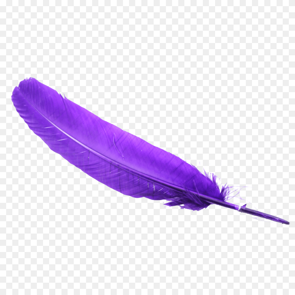 Feather Hd Transparent Feather Hd, Bottle, Purple Png Image