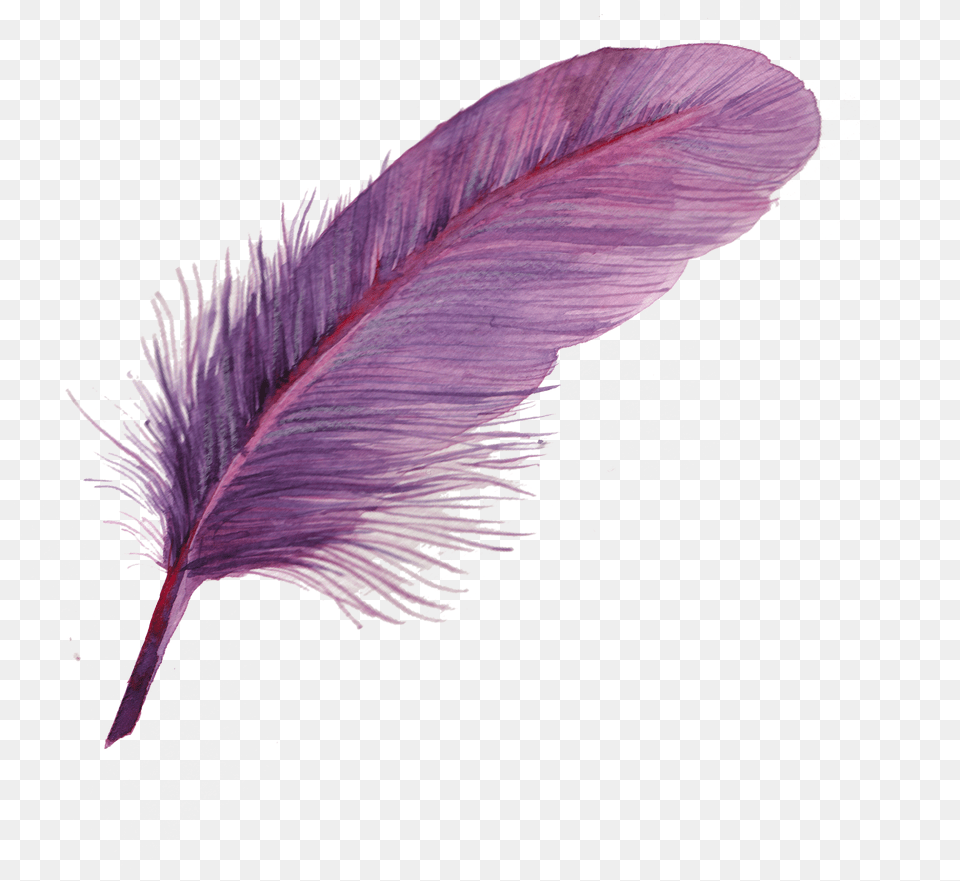 Feather Icon Purple Feather, Bottle, Animal, Bird, Ink Bottle Free Transparent Png