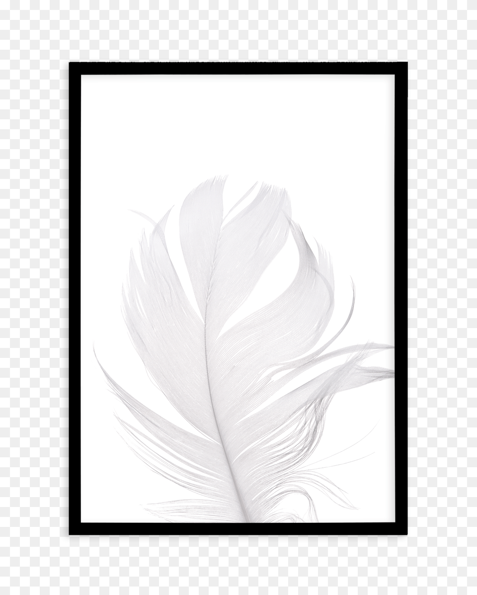 Feather Ii White Art Print Or Poster, Adult, Female, Person, Woman Png Image