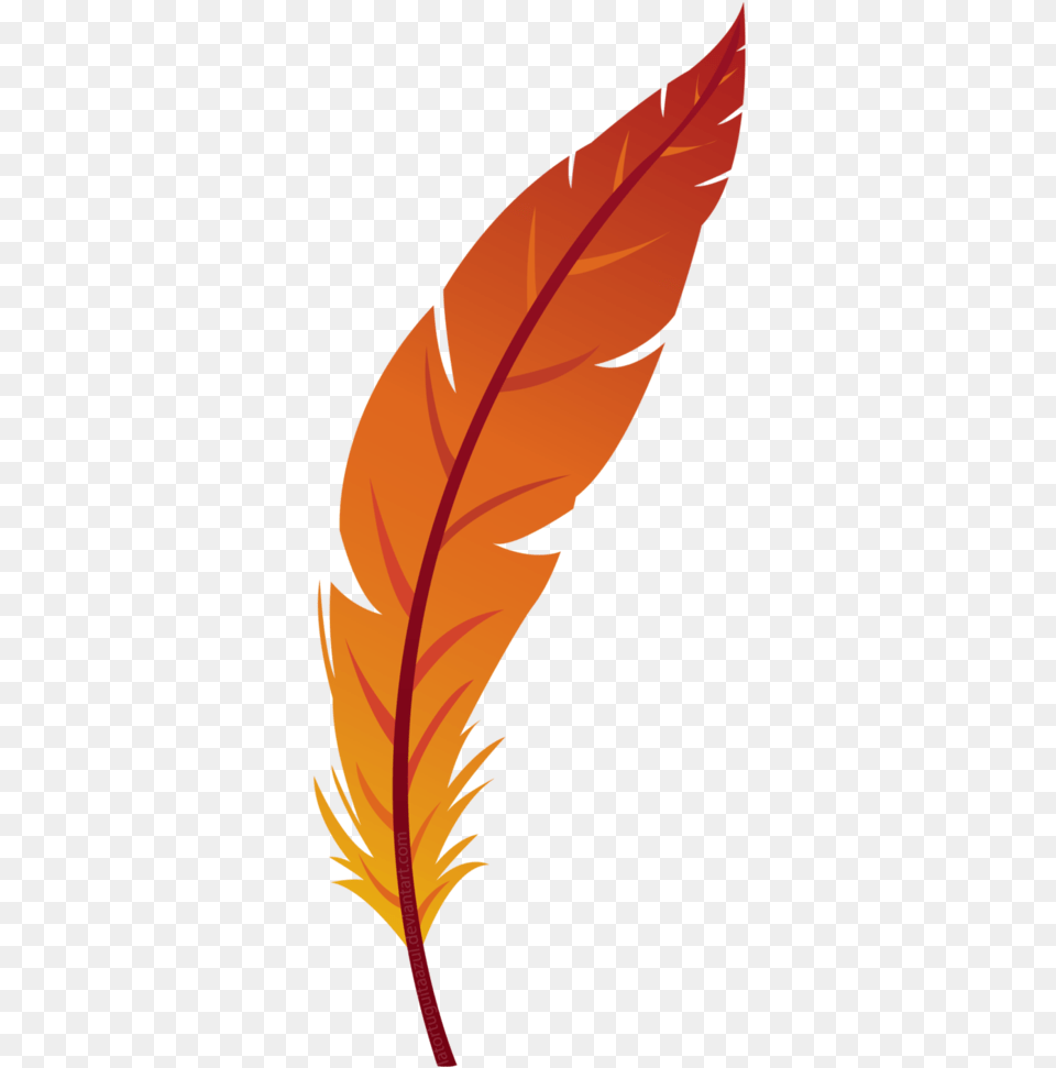 Feather Feather Clipart, Leaf, Plant, Person Png Image