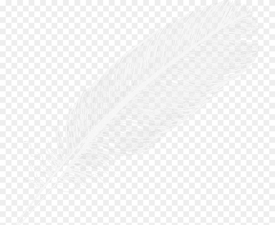 Feather Images Transparent Literary Criticism By Charles E Bressler, Art, Bottle, Leaf, Plant Free Png Download