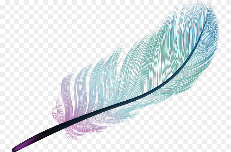 Feather Light Blue Color Color Background Gradient, Bottle, Accessories, Animal, Art Free Transparent Png