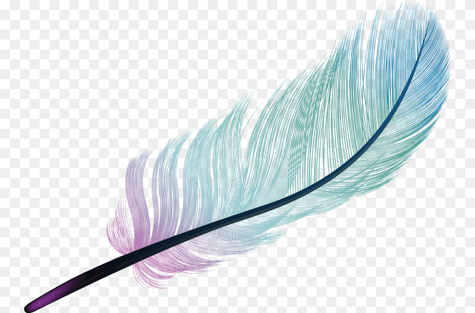 Feather Light Blue Color Feather, Bottle, Accessories, Animal, Art Free Png Download