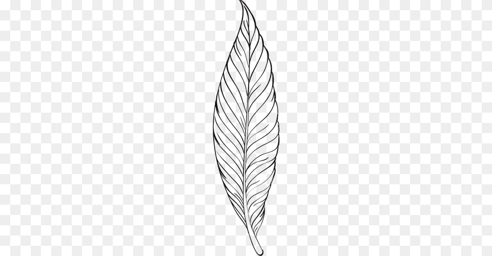 Feather Line Art Feather Line Art, Leaf, Plant, Person, Outdoors Free Png
