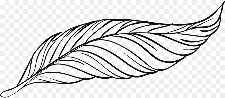 Feather Line Drawing, Leaf, Plant, Art, Accessories Free Png