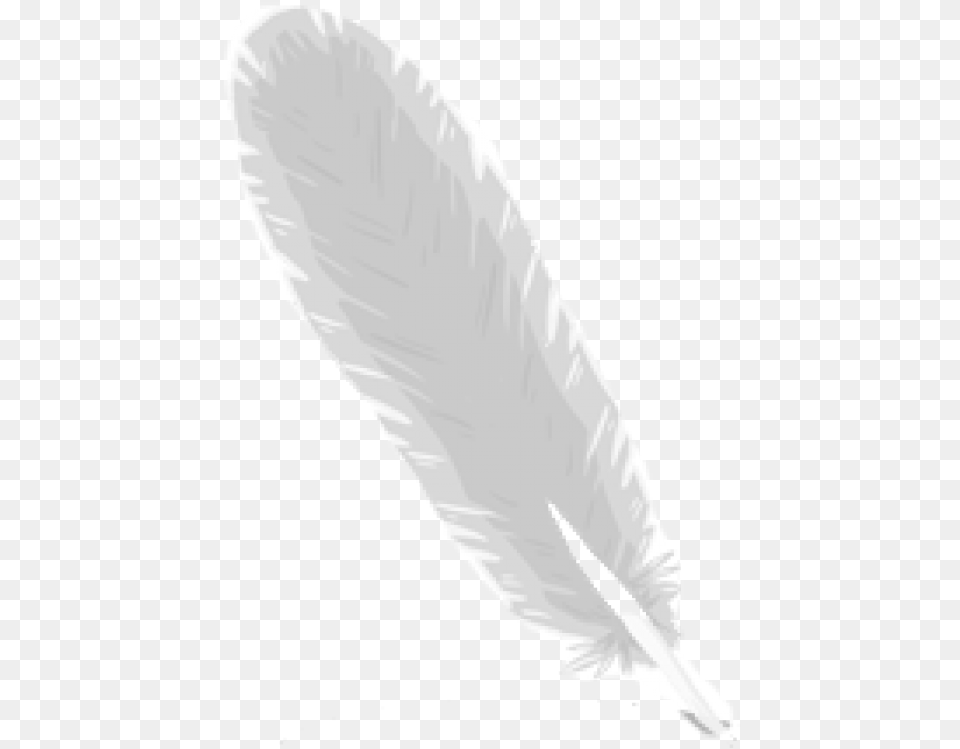 Feather Logo Image Images Bird, Bottle, Adult, Male, Man Free Transparent Png