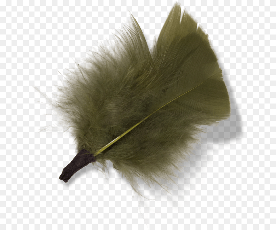 Feather Material Download Punk Fashion, Animal, Beak, Bird, Leaf Free Png
