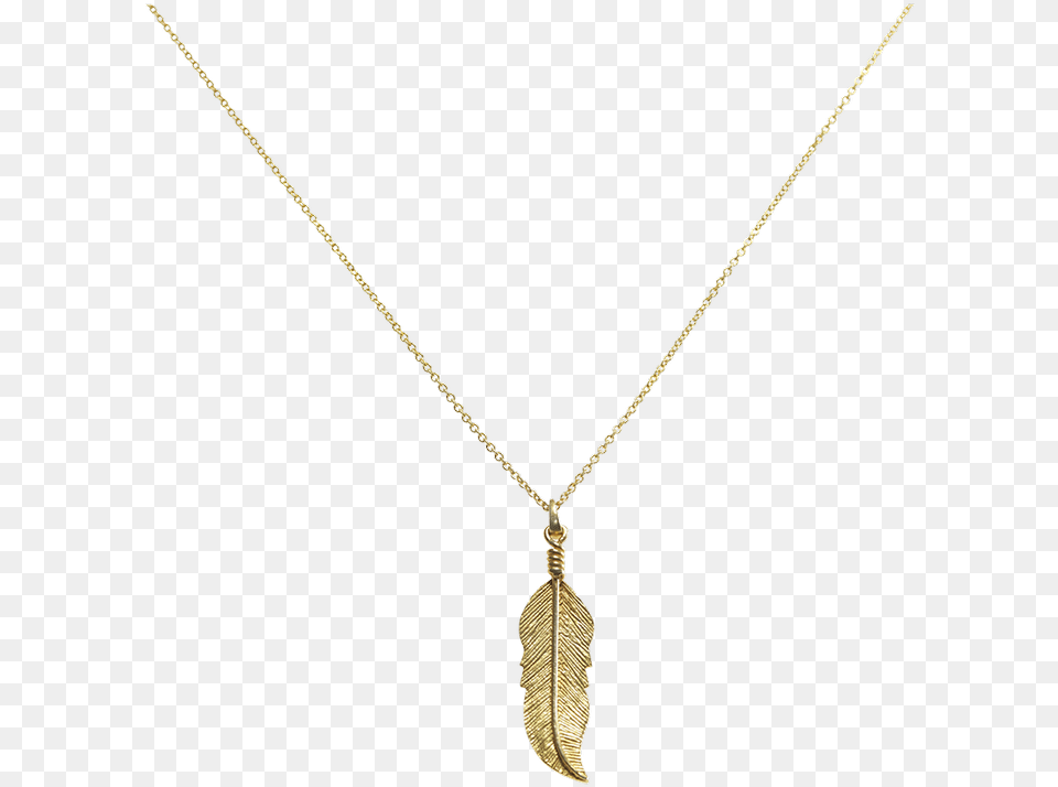 Feather Necklace Gold Locket, Accessories, Jewelry, Diamond, Gemstone Free Png Download