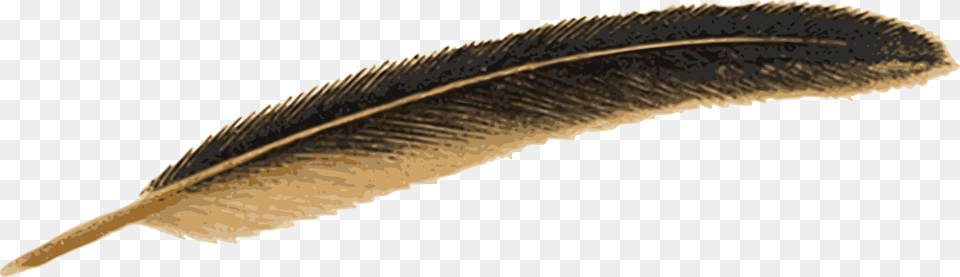 Feather Old Feather Pen, Bottle, Blade, Dagger, Knife Png
