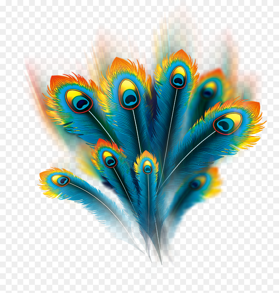 Feather Peafowl Computer File Vector Peacock Feather, Pattern, Accessories, Art, Graphics Png