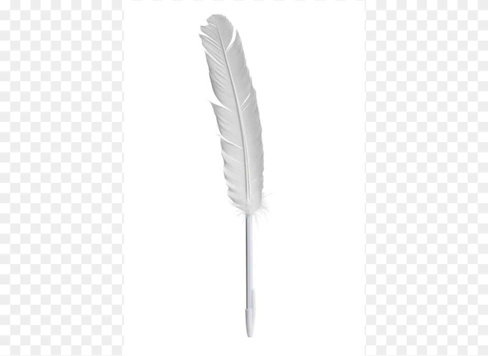 Feather Pen, Bottle Png Image