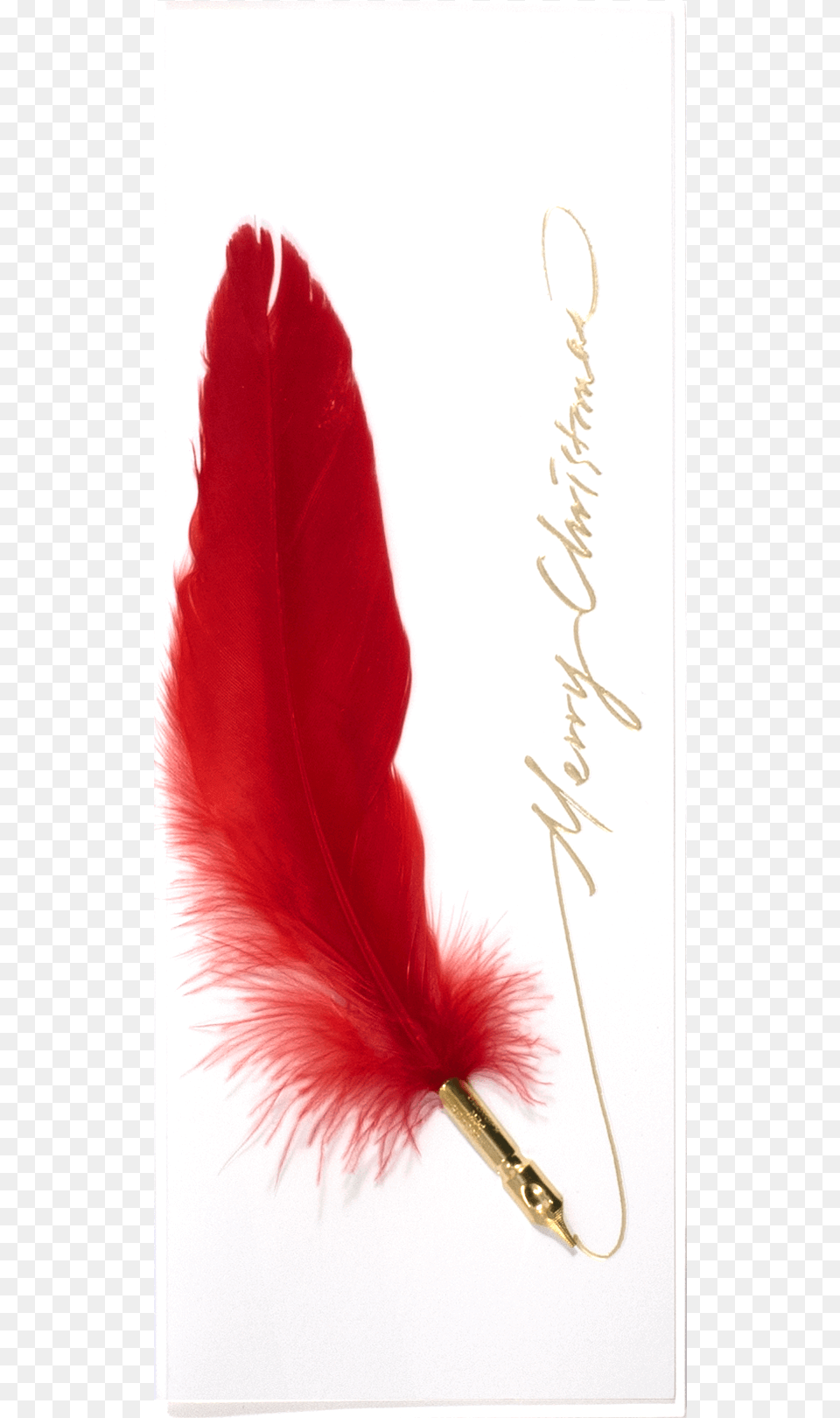 Feather Pen Christmas Calligraphy, Text Free Png