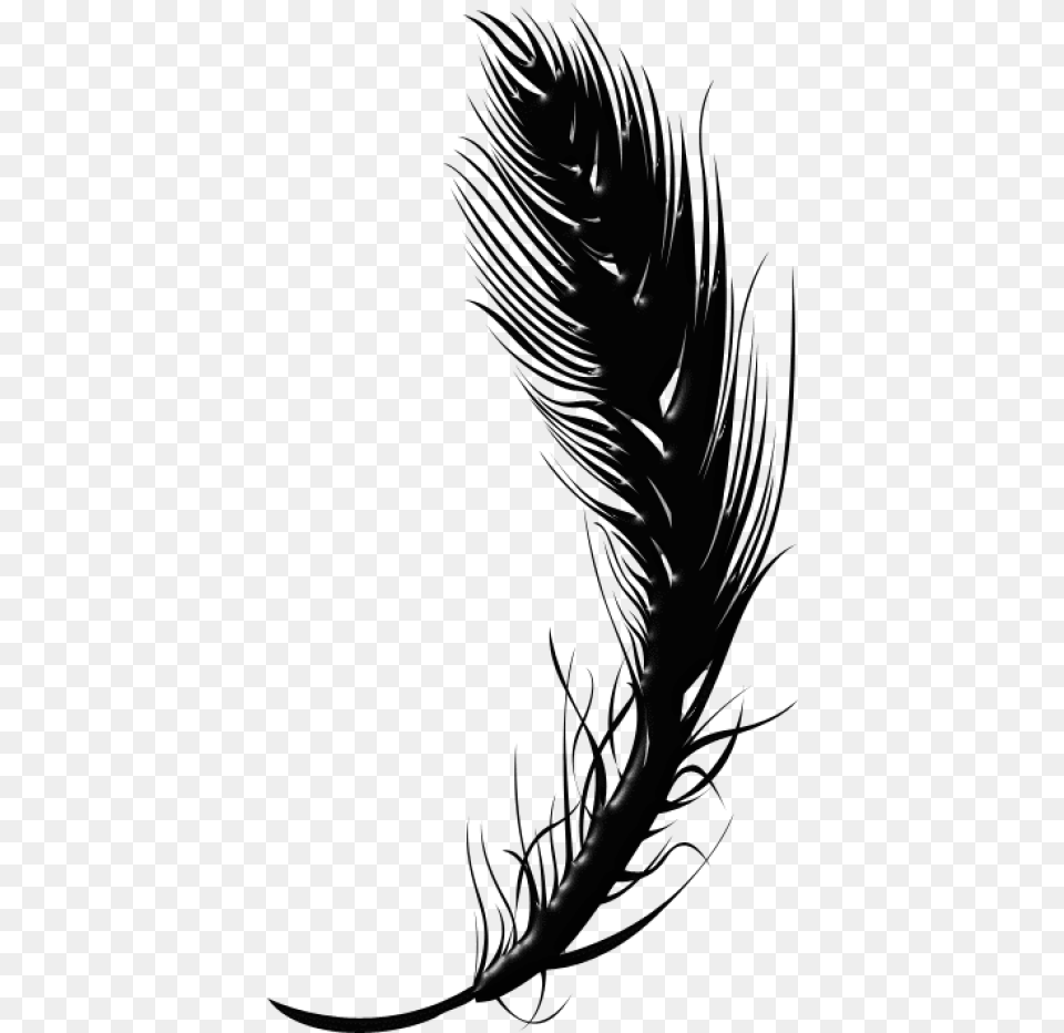 Feather Pen Clipart Feather Black And White, Nature, Night, Outdoors Png Image