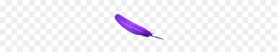 Feather Pic, Bottle, Purple, Animal, Fish Png Image