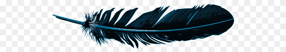Feather Pic Art, Bottle, Ink Bottle Free Png
