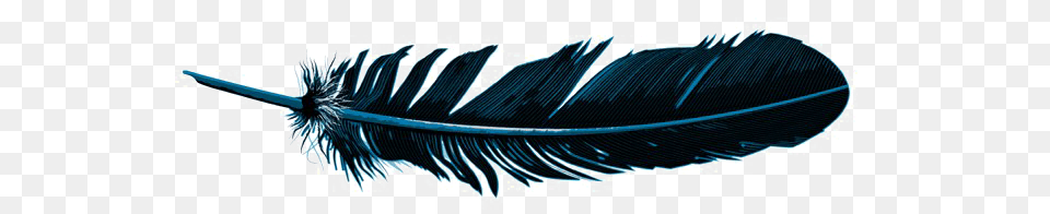 Feather Pic Arts, Bottle Free Png