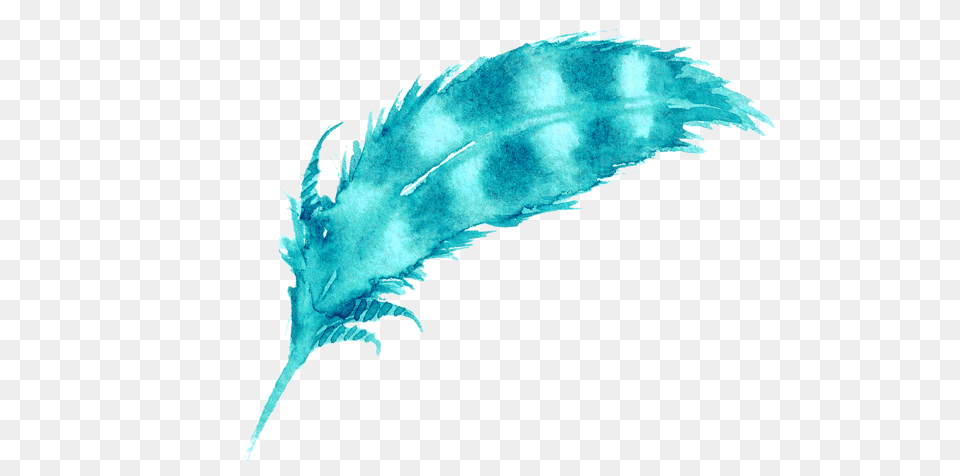 Feather Picsart Feather Sticker Illustration Png Image