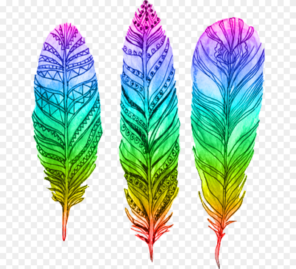 Feather Pluma Rainbow Arcoiris Interesting Art Feather Coloring Ideas, Leaf, Plant, Flower, Petal Png Image