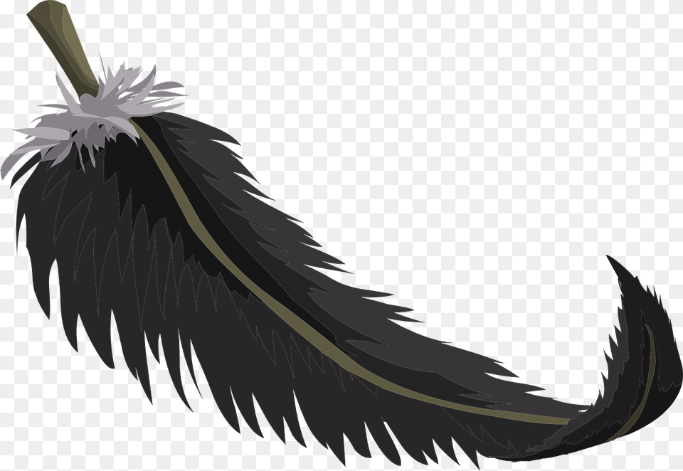 Feather Public Domain, Sword, Weapon, Animal, Bird Free Png Download