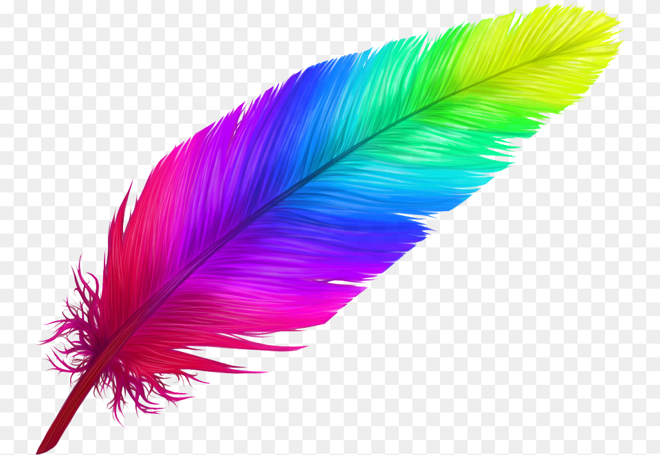 Feather Tattoo Design By Malfegor Bv D9mymmj Rainbow Feather, Bottle, Plant, Accessories Png Image