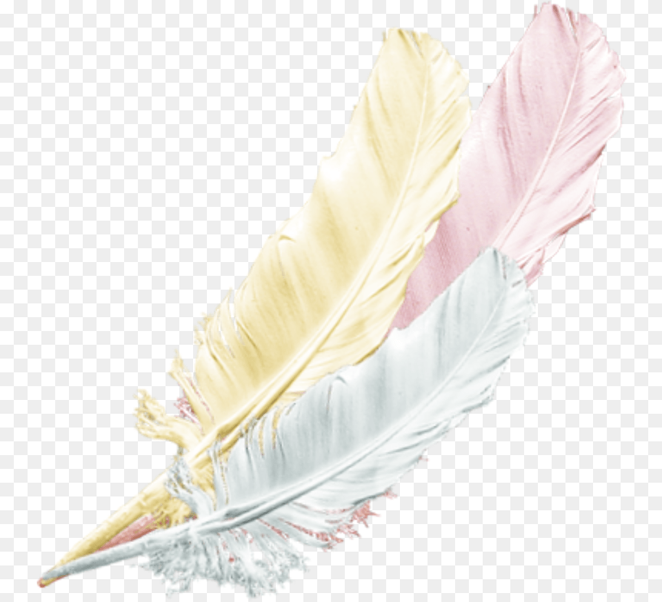 Feather Transparent Bird, Bottle, Adult, Female, Person Png Image