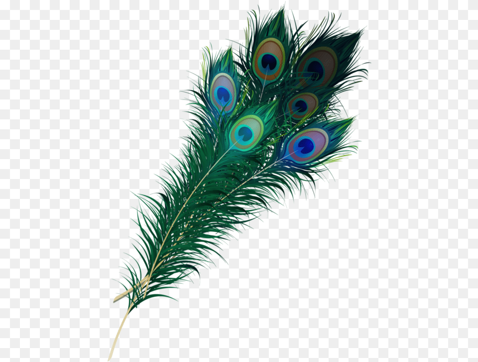 Feather Transparent Peacock Feather Clipart, Pattern, Accessories, Animal, Bird Png Image