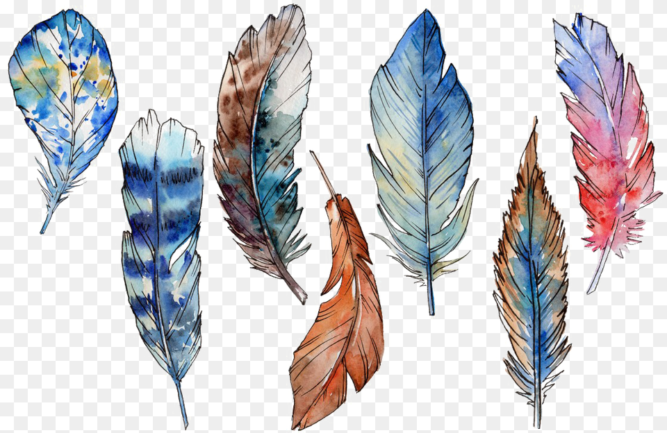 Feather U0026 Featherpng Images Feather Bird Download, Accessories, Leaf, Plant, Jewelry Free Transparent Png