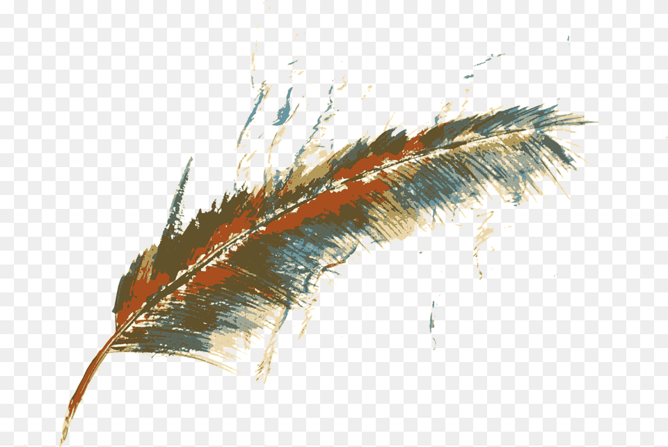 Feather Vector, Plant, Reed, Animal, Insect Png