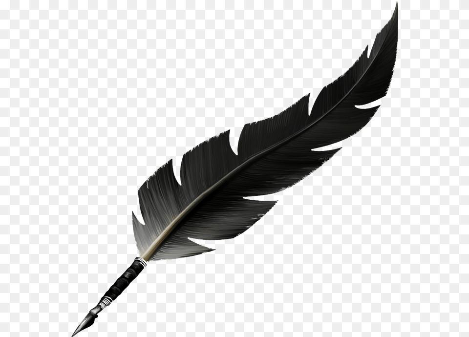 Feather Vector, Bottle, Animal, Bird Free Png Download