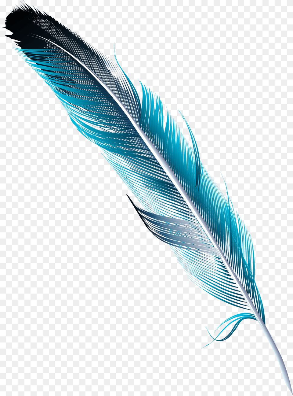 Feather Watercolor, Bottle Free Png