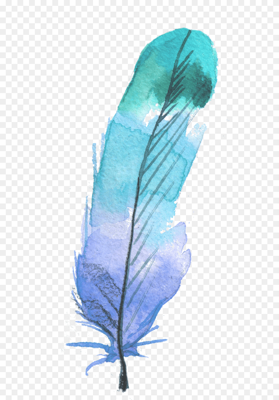 Feather Watercolor Painting, Leaf, Plant, Ice, Outdoors Png