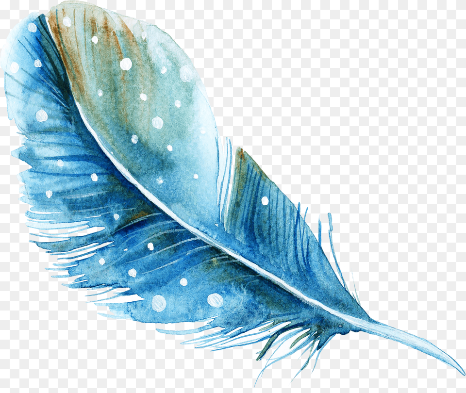 Feather Watercolor Painting Feather Watercolor, Bottle, Plant, Leaf, Pattern Free Transparent Png