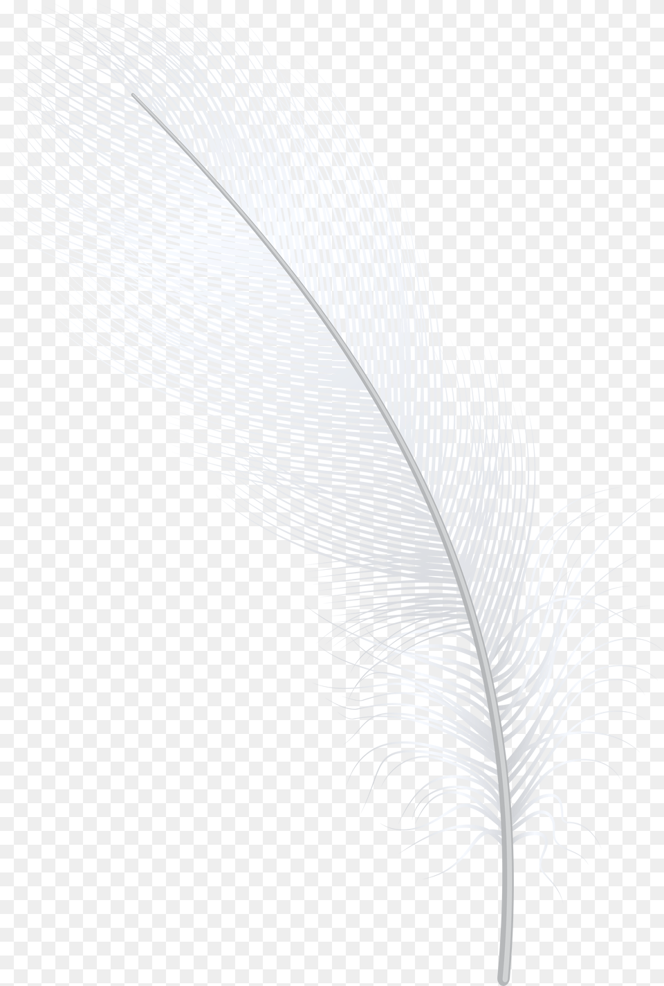 Feather White Clip Art Darkness, Leaf, Plant, Accessories Free Transparent Png