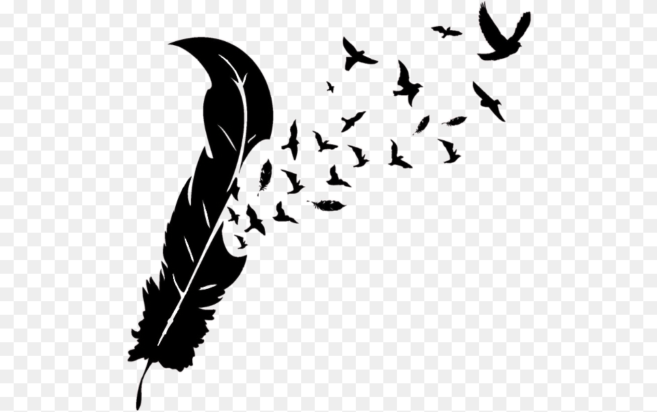 Feather With Birds Silhouette Feather With Bird Silhouette, Text, Person Free Png