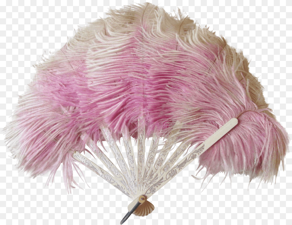 Feathered Arrow Feather Fan, Clothing, Hat Png Image