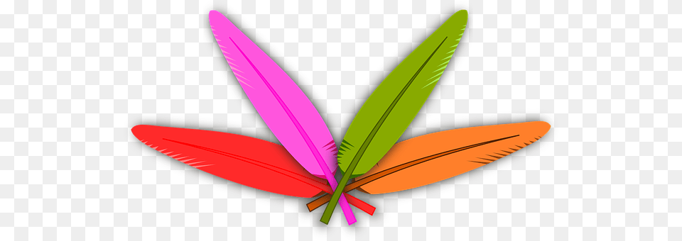 Feathers Plant, Leaf, Flower, Animal Free Transparent Png