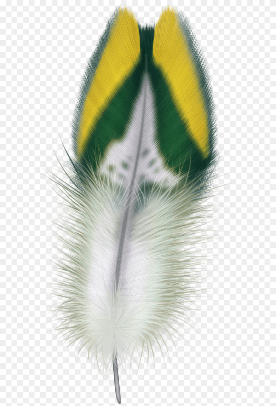 Feathers, Flower, Plant, Dandelion Free Png Download
