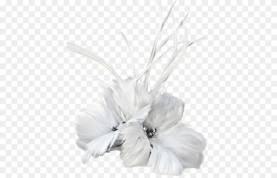 Feathers Argentina Collection White Feather Accent Piece Argentina Collection, Adult, Bride, Female, Person Free Png Download
