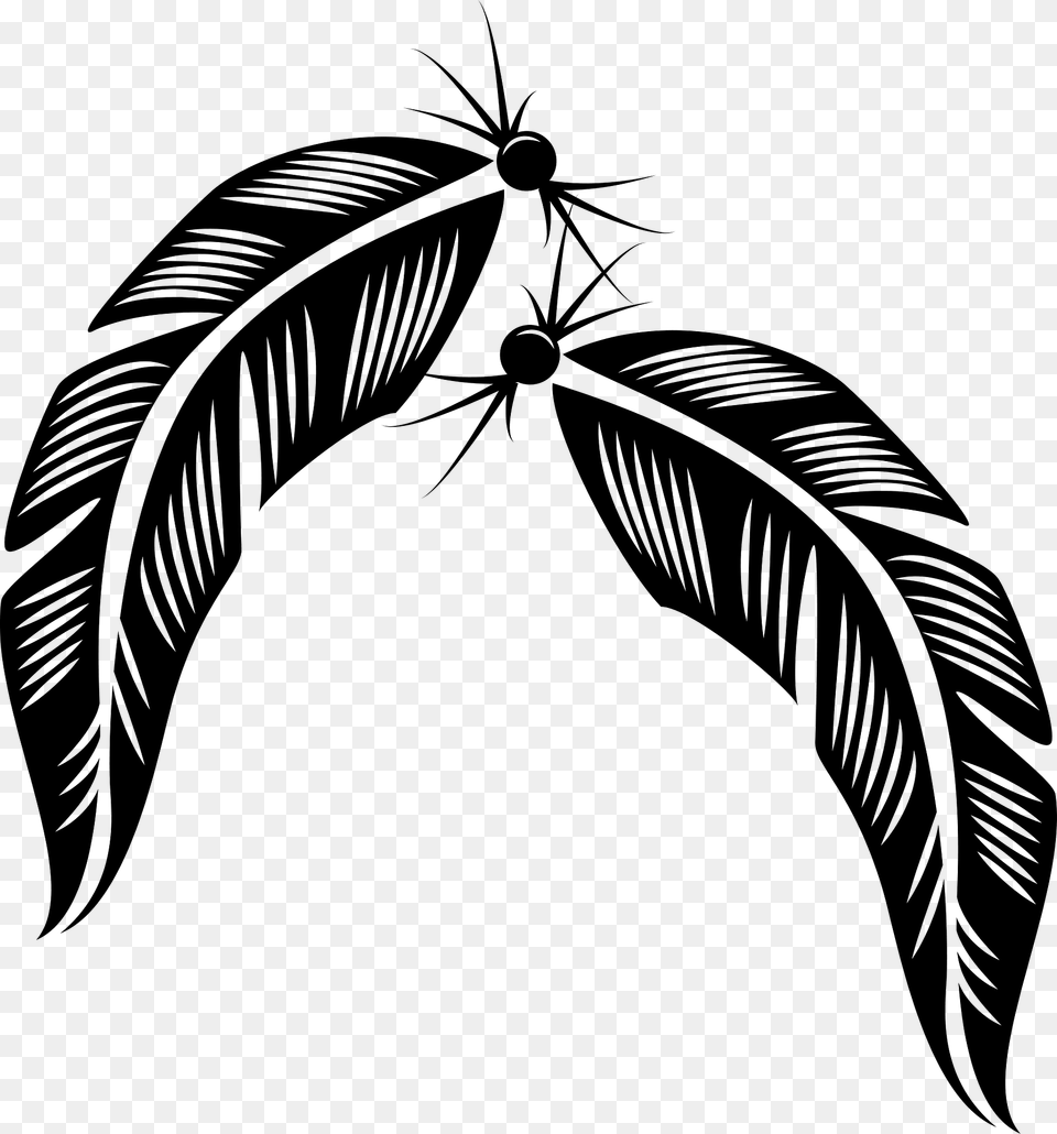 Feathers Clipart, Leaf, Plant, Art, Animal Free Png Download