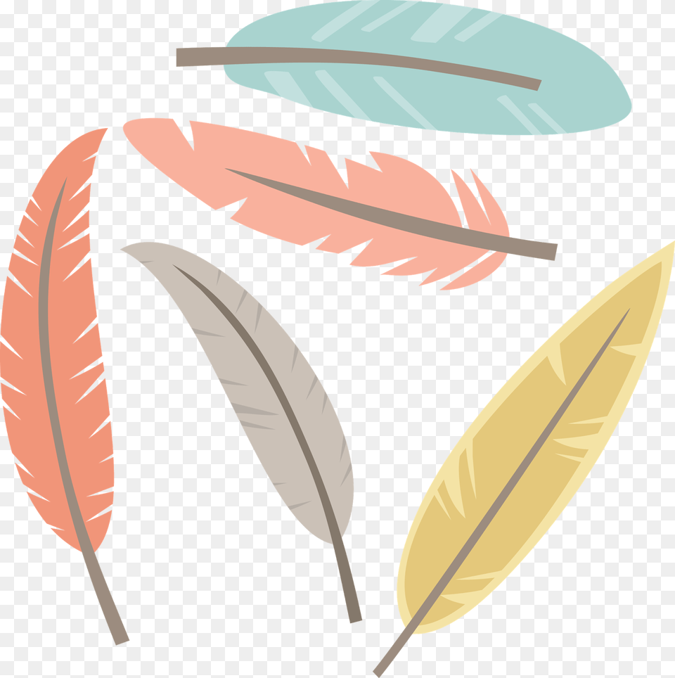 Feathers Clipart Creative Cute Feather Clipart, Leaf, Plant, Vegetation, Animal Free Transparent Png