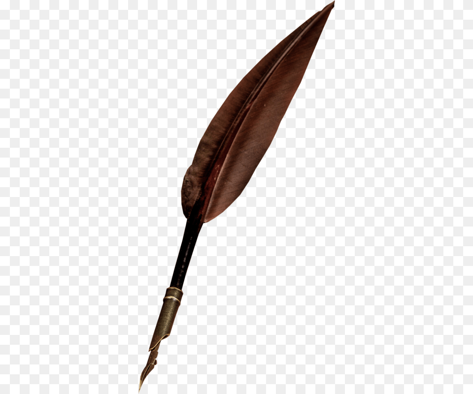 Feathers Clipart Feminine Arrow, Bottle, Blade, Dagger, Knife Png