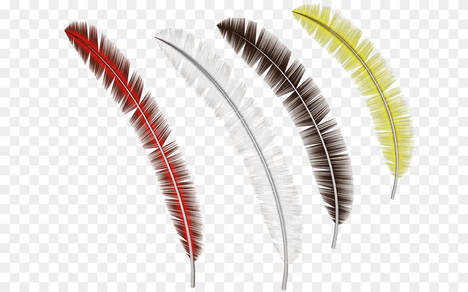 Feathers Collection, Arrow, Weapon, Accessories Free Png Download