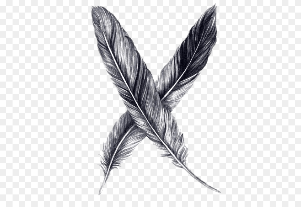 Feathers Drawing, Art, Leaf, Plant, Blade Free Transparent Png