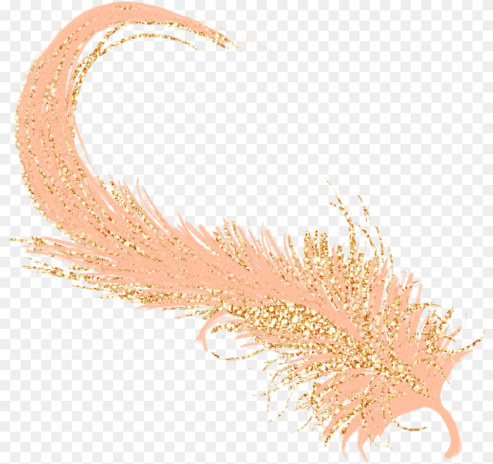Feathers Feather Pastel Golden Gold Rosegold Feather Pastel, Accessories, Animal, Bird, Pattern Png Image