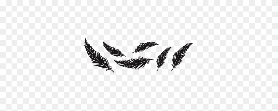 Feathers Inked Feathers, Silhouette, Stencil, Leaf, Plant Png